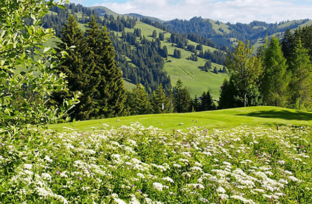 Swiss Alpine Golf Pleasure 